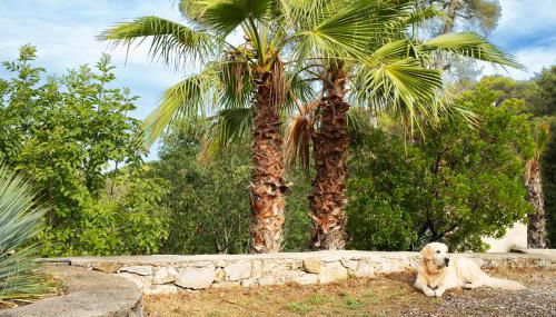 La Farigoule - Sainte-Victoire - Vue exceptionnelle sur Aix-en-Provence - Foto 3