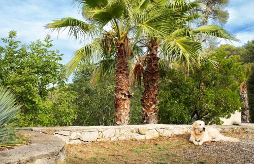 La Farigoule - Sainte-Victoire - Vue exceptionnelle sur Aix-en-Provence - Foto 3