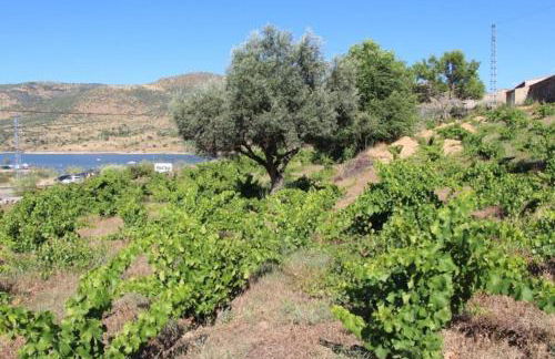 Casa rural en El Burguillo -Vitalia 2 CR-AV-1251 - Photo 25