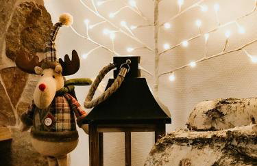 DOMEK POD DĘBEM - Foto 42