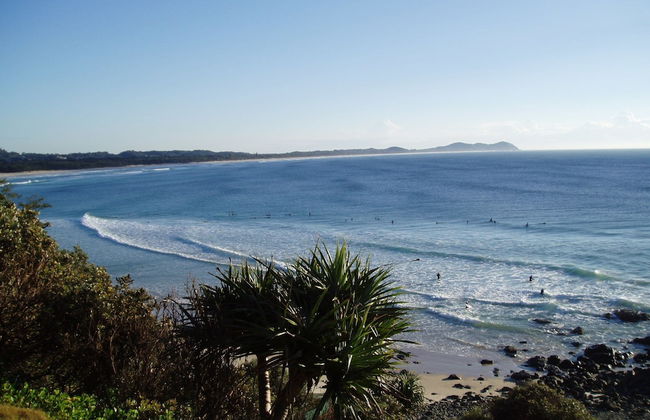 Gecko Shed - Foto 16