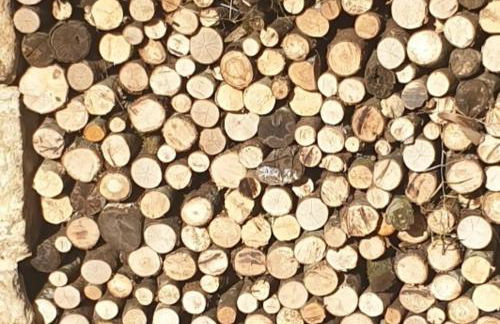 Chez Patoue Gîte et Chambre d'hôtes - Photo 16