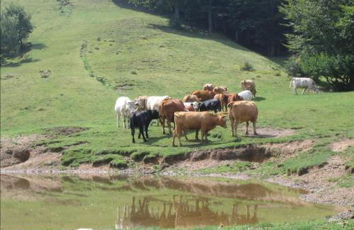 Casa Marta - Foto 40