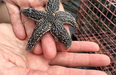 Rustic Cabin on Sturdivant Island with Views of Casco Bay in Falmouth, Maine - Foto 15