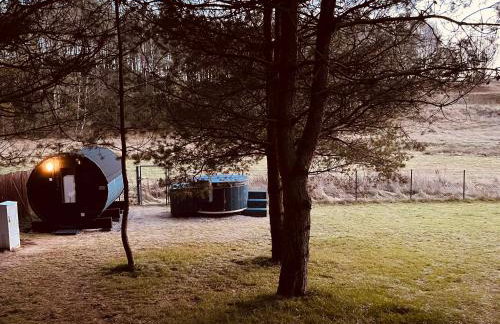 Cosy Cabin - domek na Kaszubach z sauną, balią i basenem - Foto 6