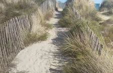 La bergerie des Landes - Foto 74