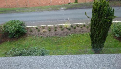 PP. Pension Petra - Photo 4, Garden view