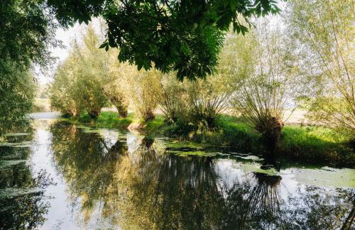 Domek Letniskowy na Wyłączność - Łaszka - Foto 24