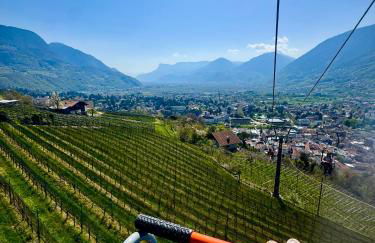 Villa Residence Franziskus - Foto 74