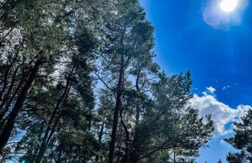 Riverside Retreat with Comfort - Foto 39