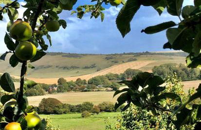 Woodpecker Hill - Apple Orchard in Alfriston - Foto 8