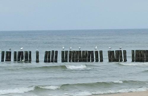 Resort Hevenia Apartament Nr 8 - Foto 20