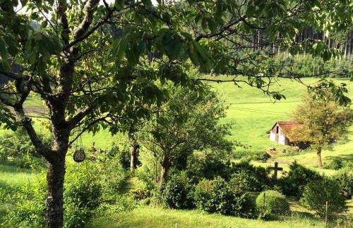 Waldbauernhof - Foto 29