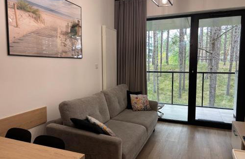 Apartament Sosnowy AKTENA Shellter Rogowo - Foto 4