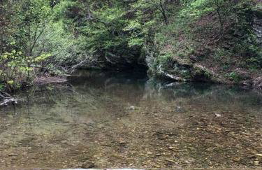 Liberty Cabin on Collier Creek - Foto 12