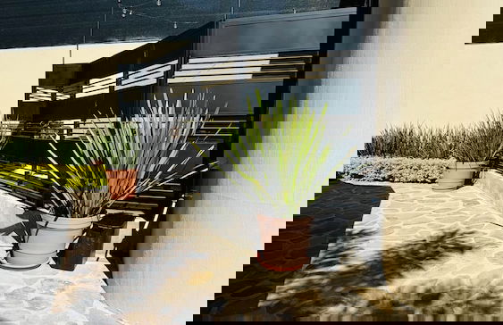 1 Bedroom Guest House - Walk to Everything - Roof Patio - Gym - Pickleball Court - Foto 47