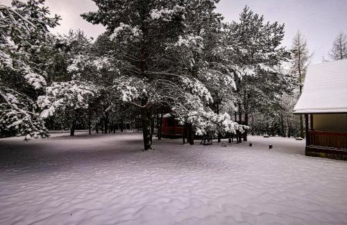 Ostoja Stacze - Foto 57