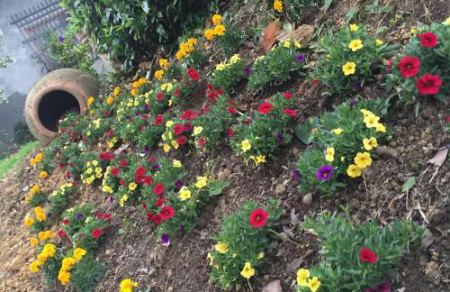 Agriturismo Il Bardellino - Foto 71