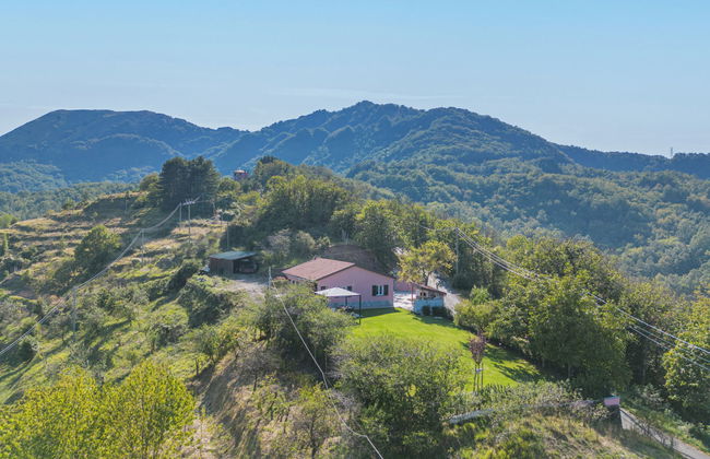 La Mela Musona - Foto 1