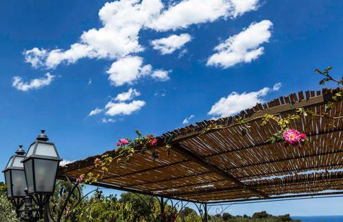 Tenuta Santa Tecla - Foto 62