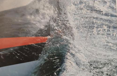 LE 21 Vue sur Mer - Photo 39