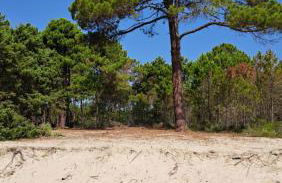 Le jardin de Domi - Foto 32