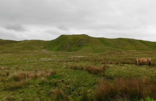 Pet Friendly 1Br Modernised Cottage with Fibre WiFi - Foto 17