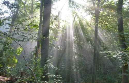 Ferienwohnung Kluge - Foto 22