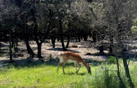 Appartamenti Nonna Rosa - Foto 39