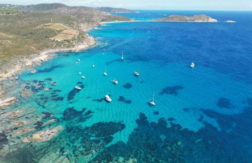 Les Néfliers - Foto 53