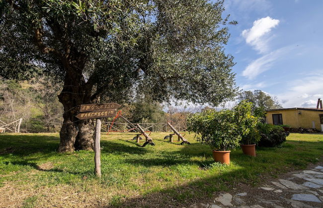 Agriturismo San Basilio - Foto 67