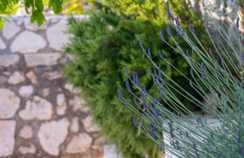 Villa Rastoni by Rastonivillas - Sunny Family Villa in the best part of Corfu! - Foto 47