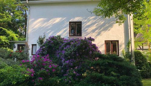 Ferienhaus Hudemühlen - Foto 2