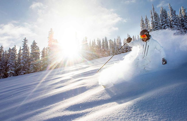 Aspenwood - CoralTree Residence Collection - Photo 69