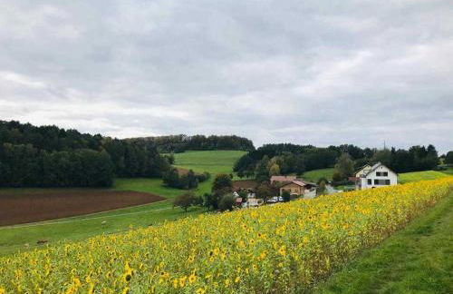 Zirbenholzwohnung Lochau - Foto 29