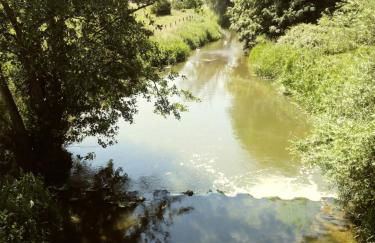 Poplar Lodge Log Caravan - Foto 13