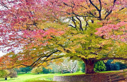 Alexander House - Foto 57