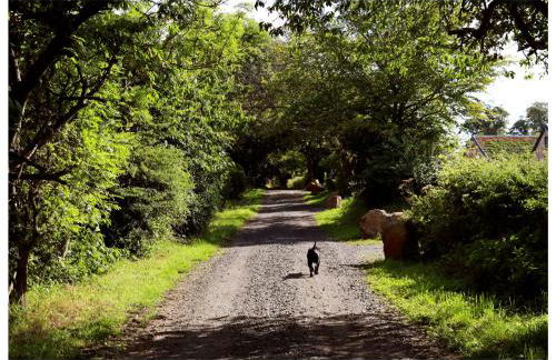 Eco-Lodge with hottub sea view Charleton Estate - Foto 13