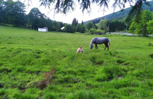 Dom nad Potokiem Sowa - Foto 53