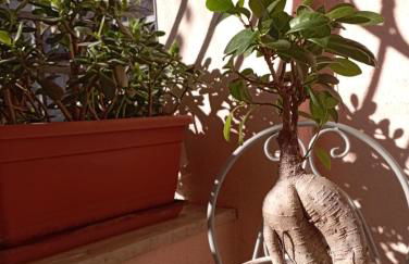 Il Portico Rosa - Foto 63