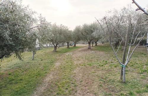 Dimora Montelago Apartment Gino giardino, AC, - Foto 27