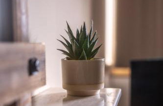 Muirhead House - Foto 31