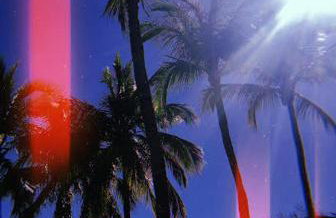 Magnífica Costeira - Foto 56