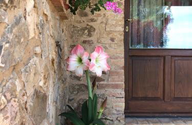 agriturismo Poggio Monte Saturnia - Foto 36