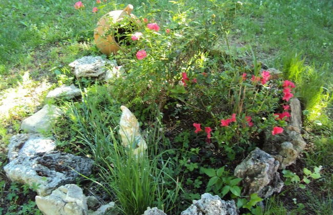 Maison d'hotes La Douloire - Foto 24