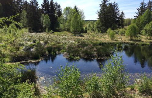 Ferienwohnung Geschwind - Foto 14