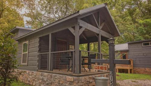 Meg Cabin Tiny Rustic Comfort On Lookout Mtn - Foto 4