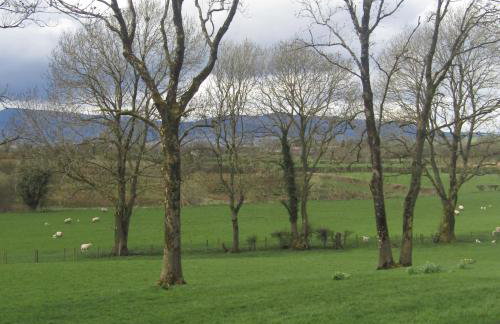 Knockninny Barn at Upper Lough Erne, County Fermanagh - Foto 48