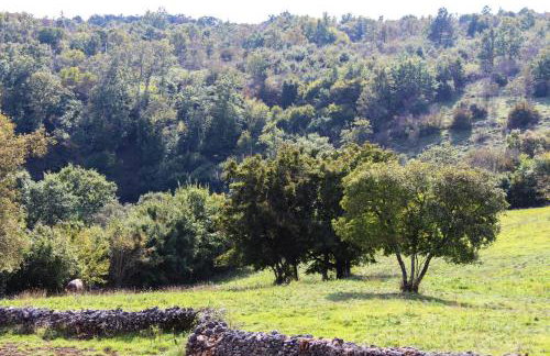 Charming Villa near Žminj with Private Pool - Foto 23