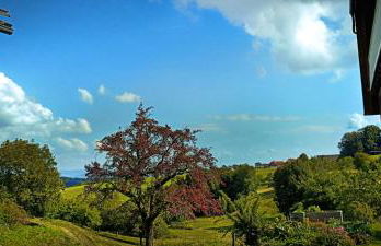 Ferienwohnung Rudigier - Foto 22
